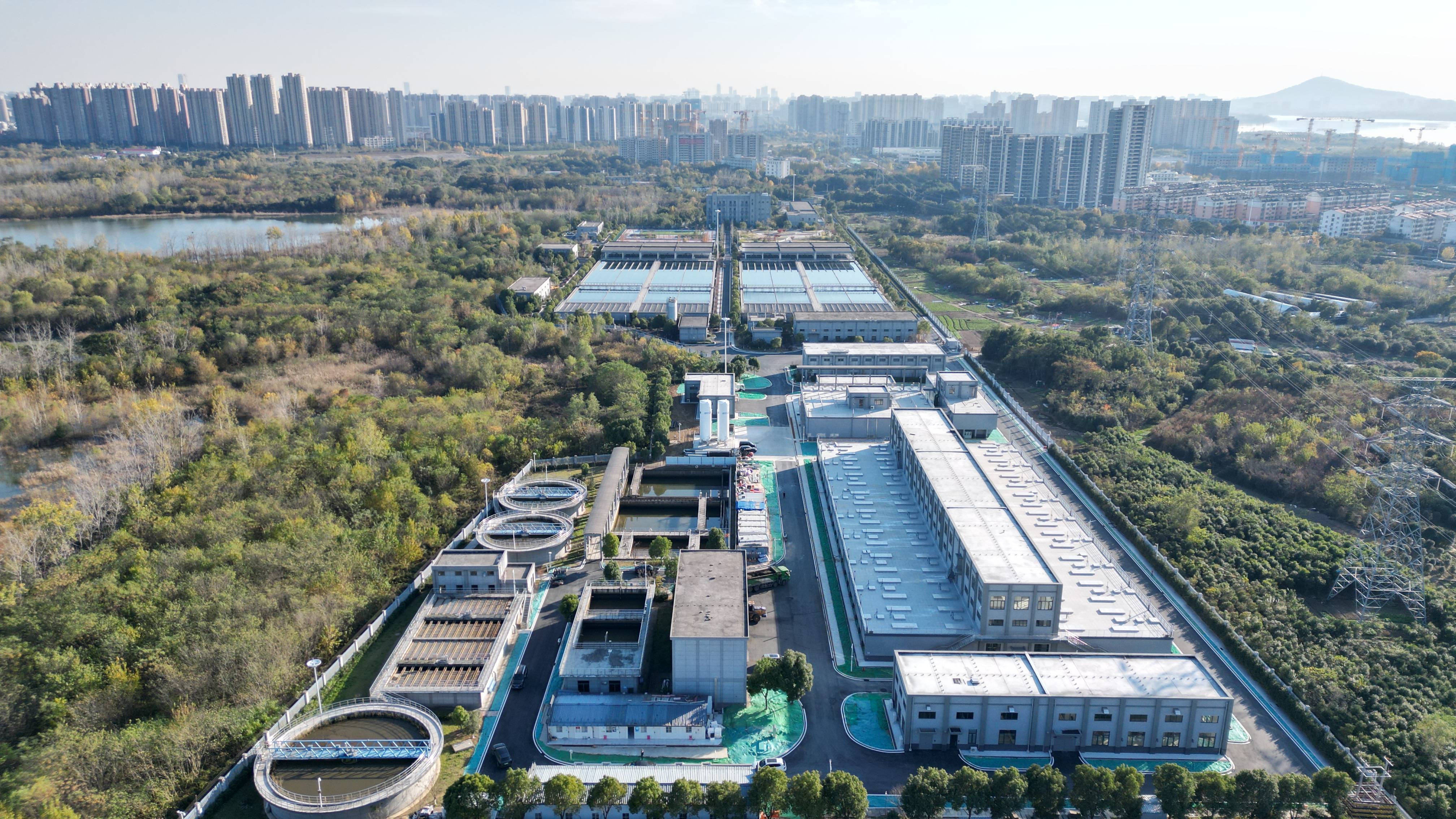 黄石市合肥专业企业价值增长(合肥市重点企业产业目录)