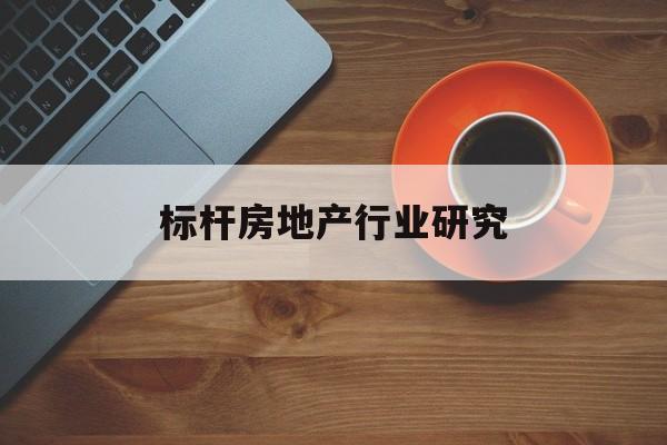 黄石市标杆房地产行业研究(房地产领域的标杆人物)