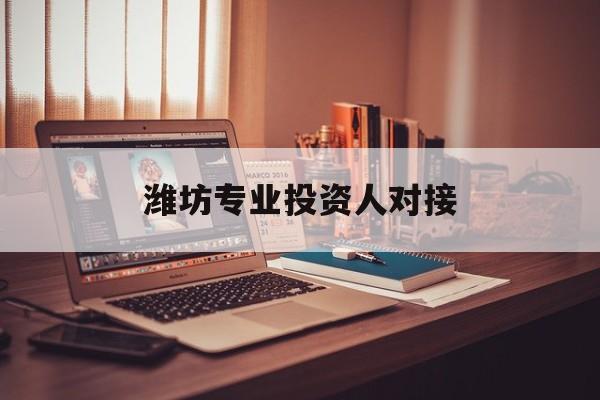 黄石市潍坊专业投资人对接(潍坊专业投资人对接中心)