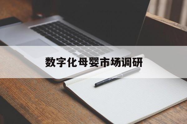 黄石市数字化母婴市场调研(数字化母婴市场调研报告)